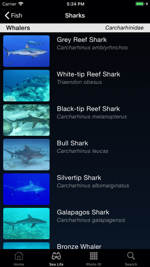 Sea Life Australia(圖2)-速報App