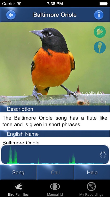 Bird Song Id Canada birdsongs