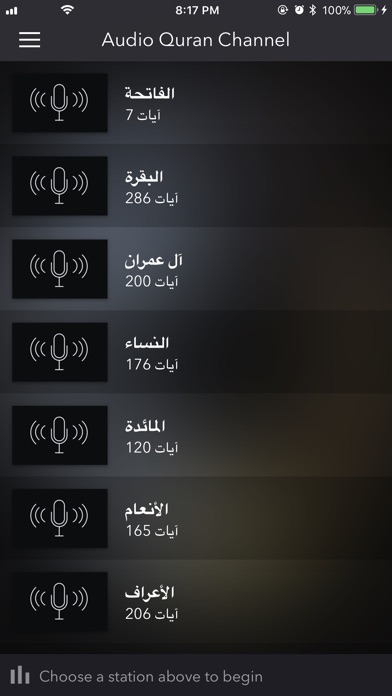 Audio Quran Channel screenshot 3