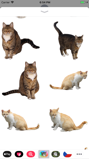 Cat Stickers Meow(圖7)-速報App