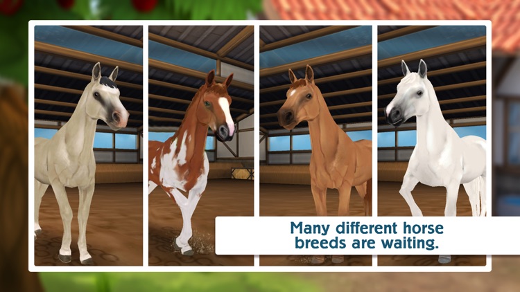Horse Hotel - care for horses screenshot-5
