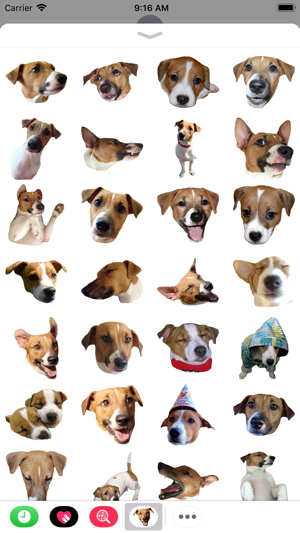 JackRusselMoji(圖2)-速報App