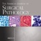 The American Journal of Surgical Pathology 