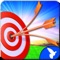 Arrow Kings Master Challenge is one of the most popular new concept of arrow hitting with the help of a bow to the perfect place of the target