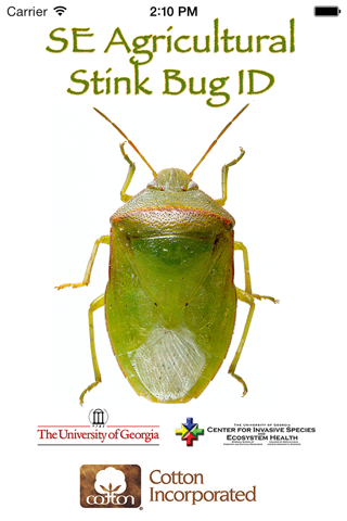 SE Agricultural Stink Bug ID - náhled