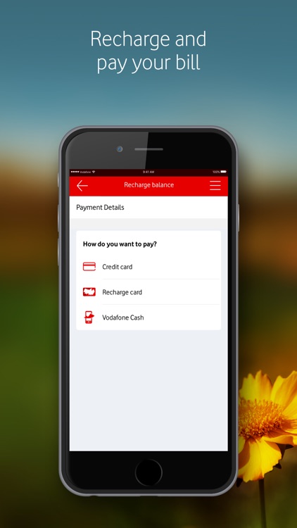 Ana Vodafone screenshot-3