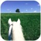 Young Rider entertains horse-crazy ‘tweens and teens with a fun-filled mixture of riding tips, horse-care hints, celebrity features, pen-pal pages, contests and two or more beautiful color posters