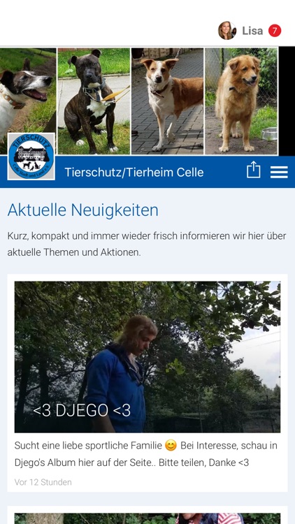 Tierschutz/Tierheim Celle