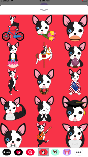 Splash Boston Terrier(圖3)-速報App