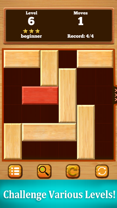 Block Move: Puzzle Game screenshot 2