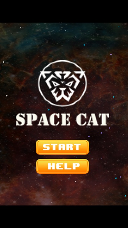 Space Cat