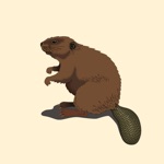 Best Beaver Stickers
