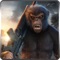 World Of Apes
