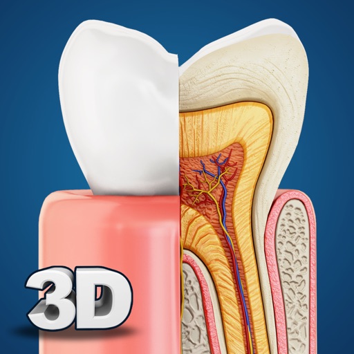 My Dental Anatomy iOS App