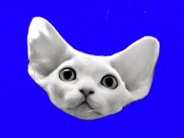 Hi