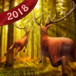 Deer Hunting 2018