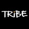 TribeFit – Socially Active