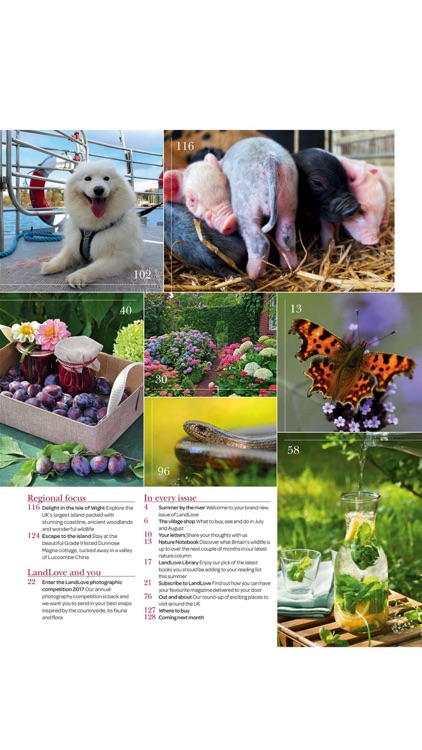 LandLove Magazine screenshot-3