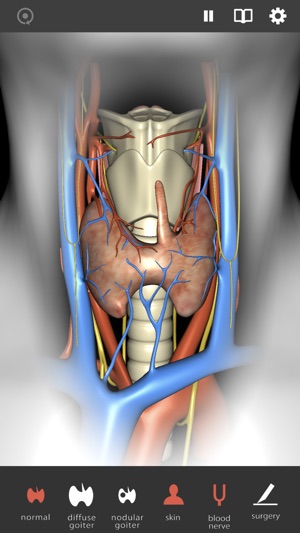 Thyroid Navigator(圖1)-速報App