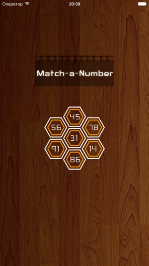 Match-a-Number