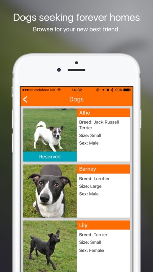 EDCH: Edinburgh Dog & Cat Home(圖2)-速報App