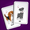 Vibedog - Mágica com pet cards