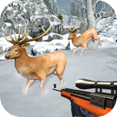 Activities of Extreme Deer Shooting