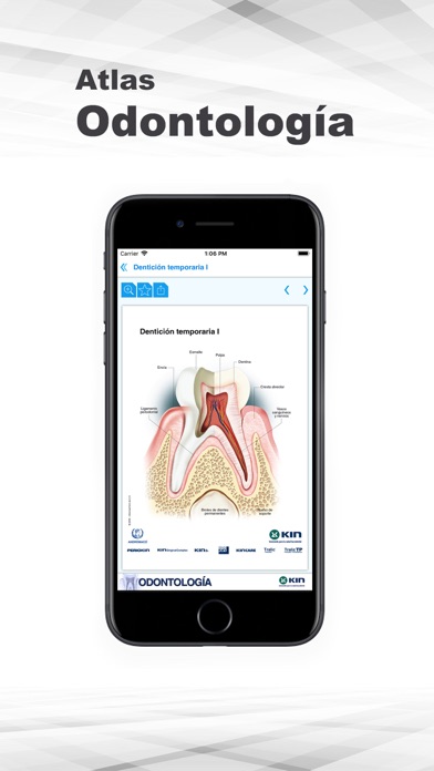 Atlas Odontología screenshot 3