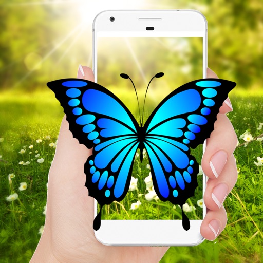 Real Live Butterfly Animation iOS App