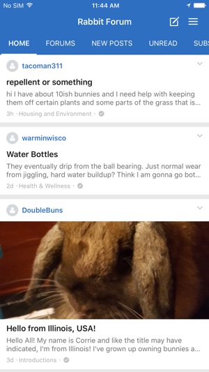 Rabbit Forum(圖3)-速報App