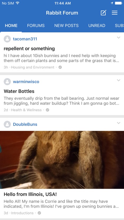 Rabbit Forum