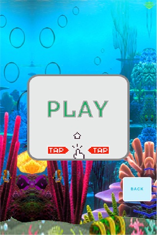 Speedy Fishs screenshot 2