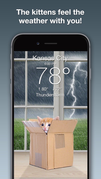 Weather Kitty: Forecast & Cats