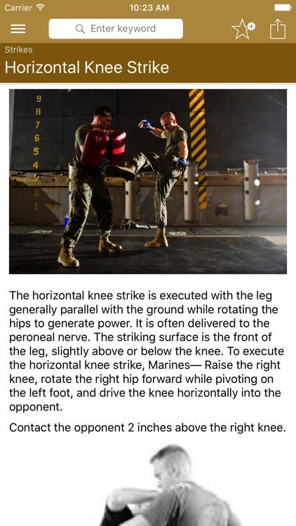 Marine Martial Arts