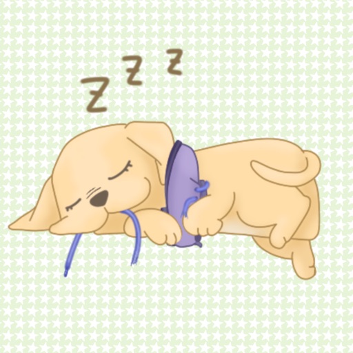 Pip the Labrador Pup