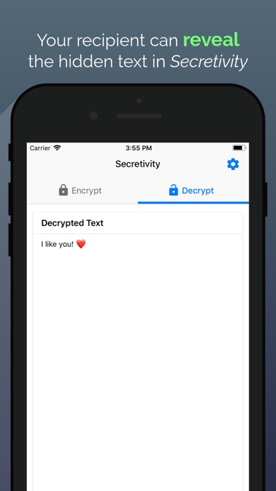 Secretivity – Lock & Hide Text screenshot 4