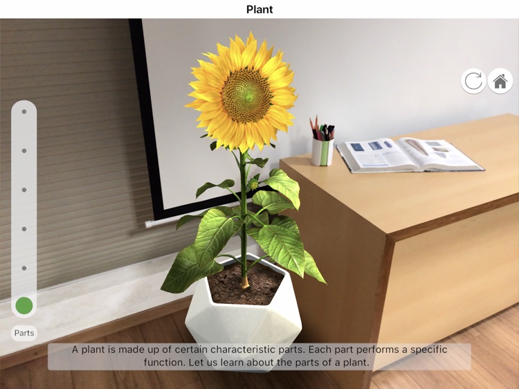 Plantale