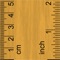 Measure length in inches and cm