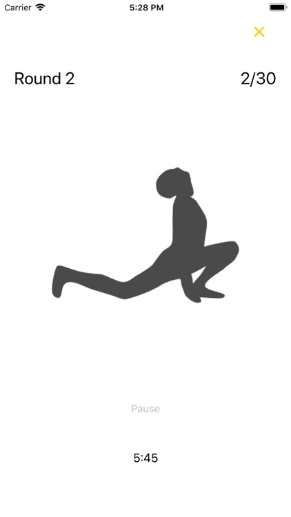 Sun Salutos - Surya Namaskar