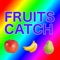 --- FRUITS CATCH ---