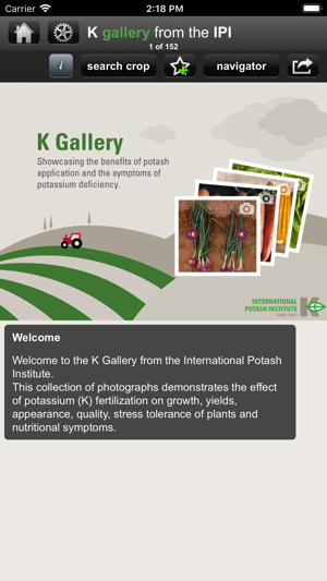 K gallery