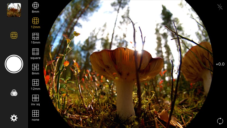 Fisheye Lens - Lomo Camera
