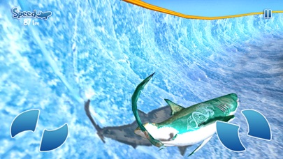 Shark Slide Racing 2018 screenshot 4