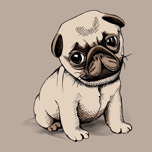 Pug Cute Sweetheart