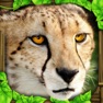 Get Cheetah Simulator for iOS, iPhone, iPad Aso Report