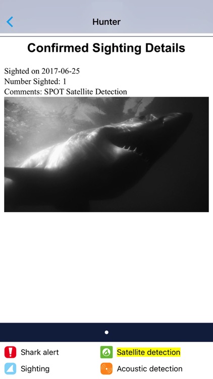 Sharktivity screenshot-3