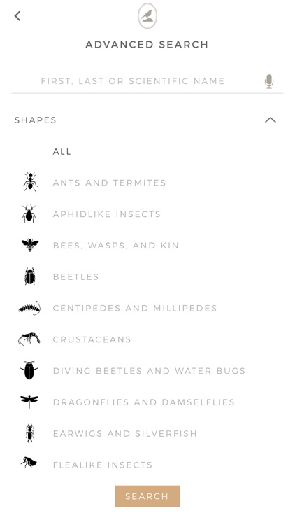 Fieldstone Guide: Insects screenshot-5