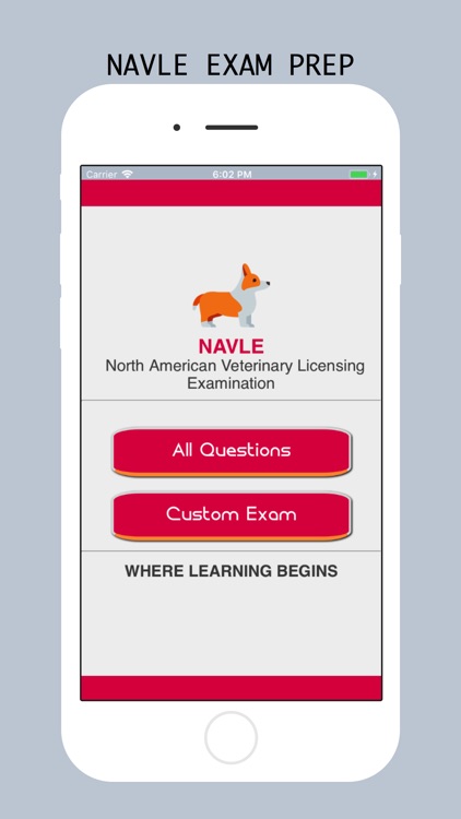 NAVLE Test Prep 2018