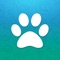 AllPaws is a beautiful and slick app that helps you browse through thousands of available dogs and cats so you can find your next best friend