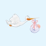 Pregnancy  Motherhood
